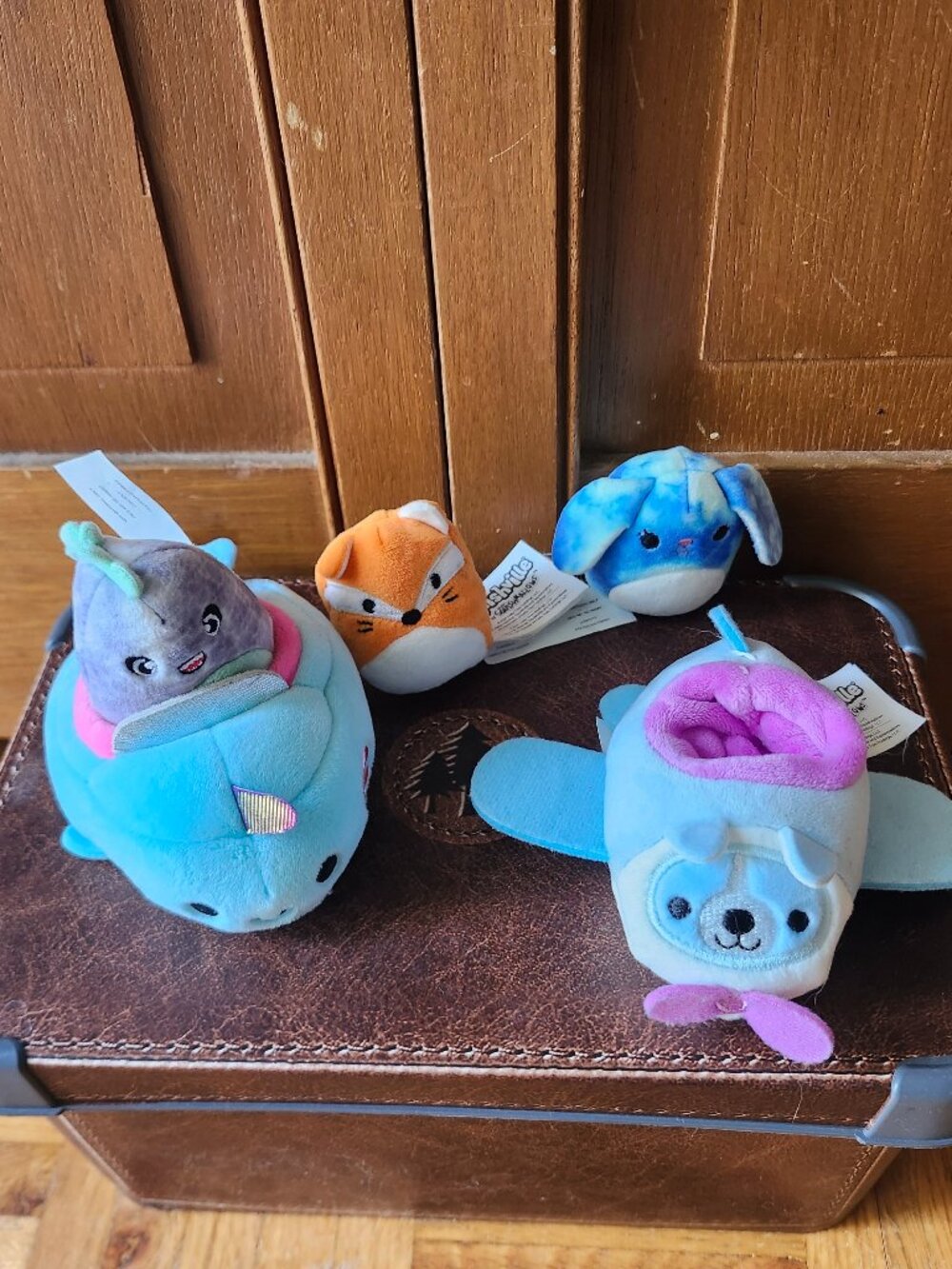 Lot of 5 Mini Plush Squishmallows Squishville Chuey T-rex Narwhal Bobby James
